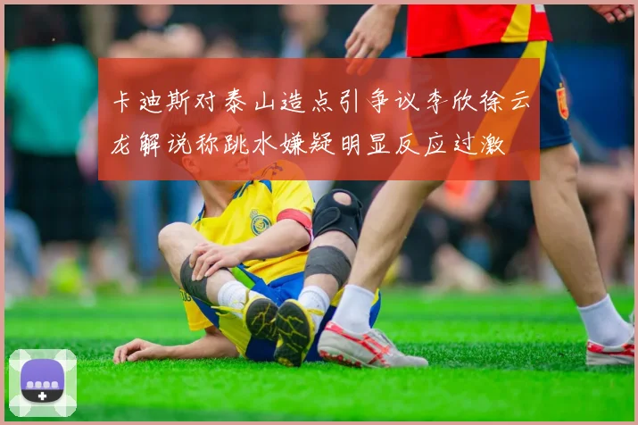 卡迪斯对泰山造点引争议李欣徐云龙解说称跳水嫌疑明显反应过激