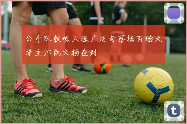 公牛队教练人选广泛考察杨百翰大学主帅凯文杨在列